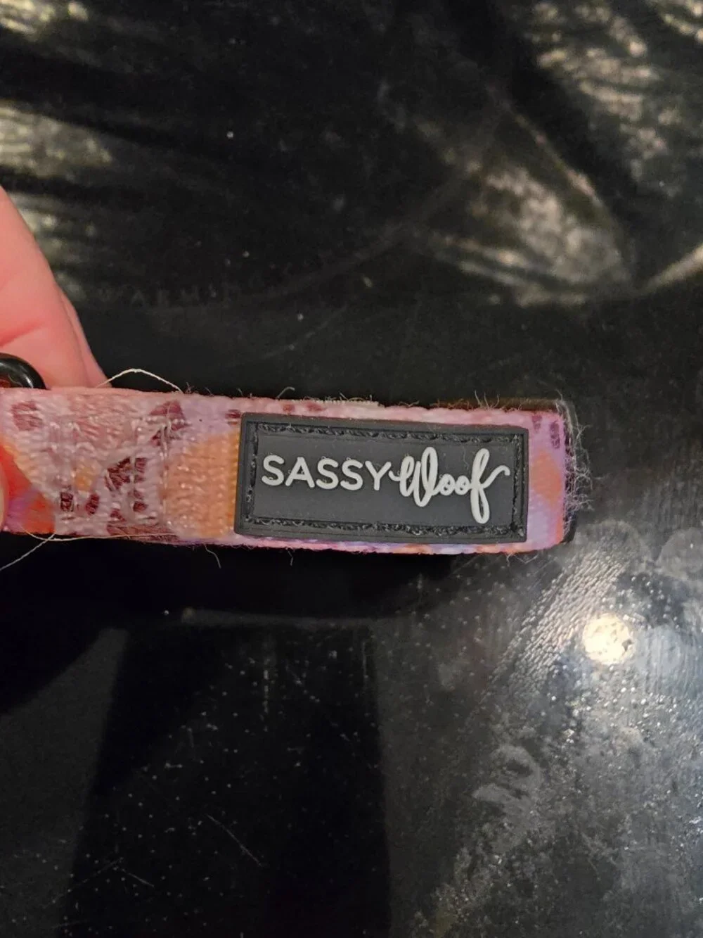 Pink Small Dog Harness Vibrant Life Dog Leash Sassy Woof NEW